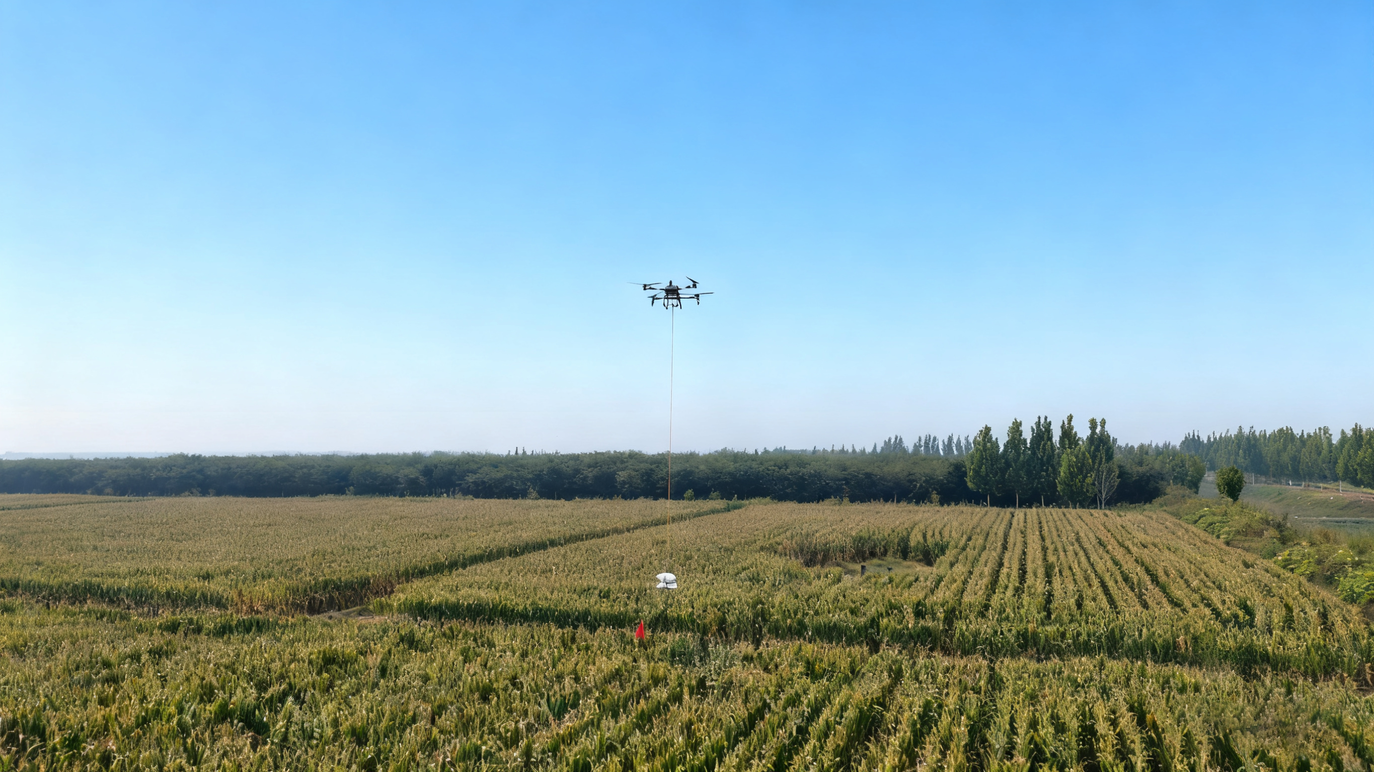 戰(zhàn)陰雨搶農(nóng)時 博華生態(tài)農(nóng)業(yè)全力推進玉米搶收工作